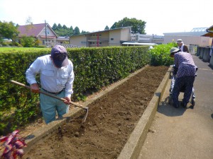 種まき コスモス 宮崎県小林市 社会福祉法人ときわ会