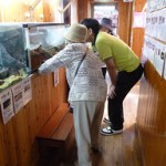 2016.8.23 外出レク出の山水族館 (7)