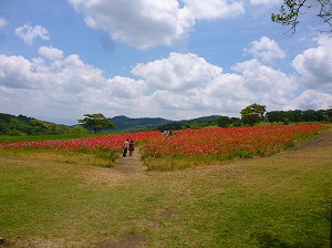 2018.5.23 外食ﾚｸ 高千穂牧場 (37)