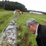 2018.7.10 ｽｲｶの収穫 (3)