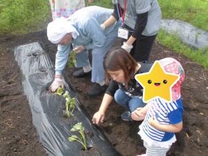 2019.5.14 野菜苗植え (19)
